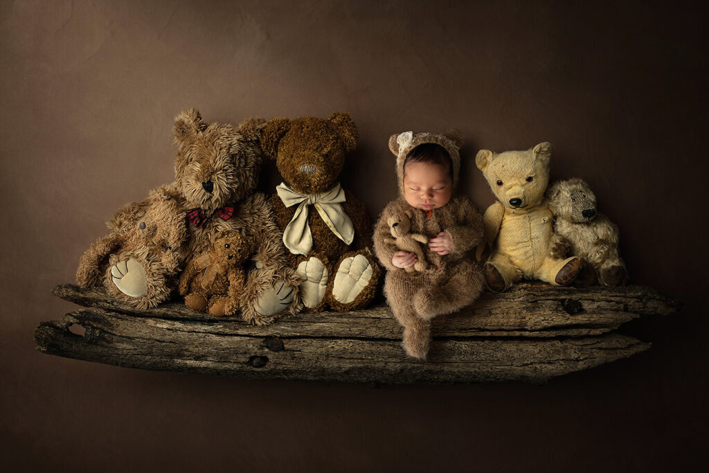 Newborn teddy bears studio photoshoot
