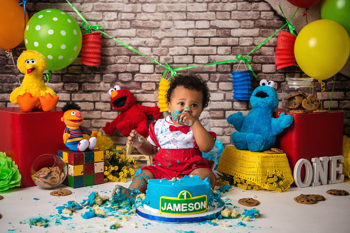 Sesame street cake smash photoshoot child photographer Dallas