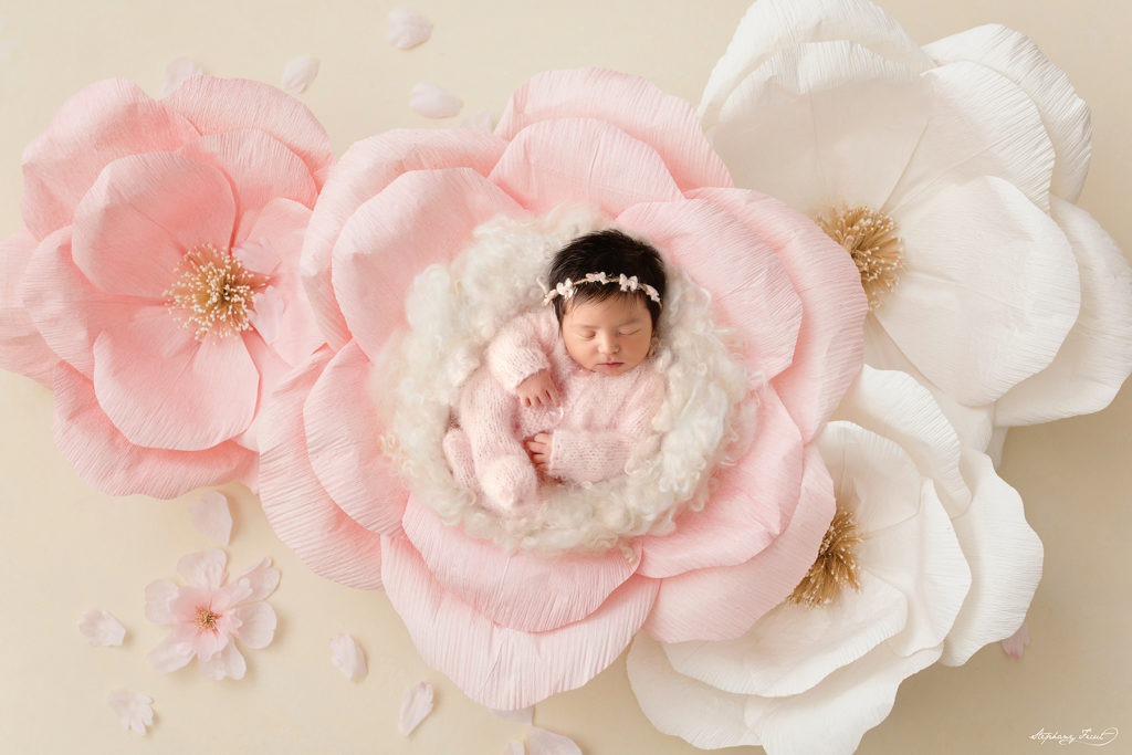 Dallas newborn photographer baby photography