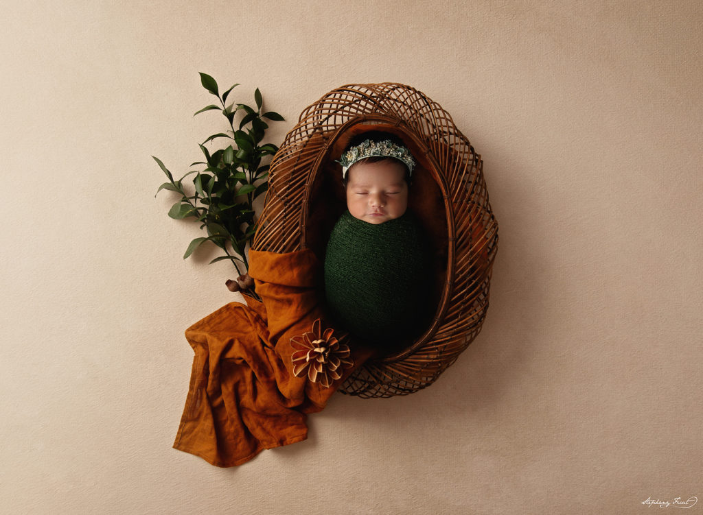 newborn photoshoot photography studio