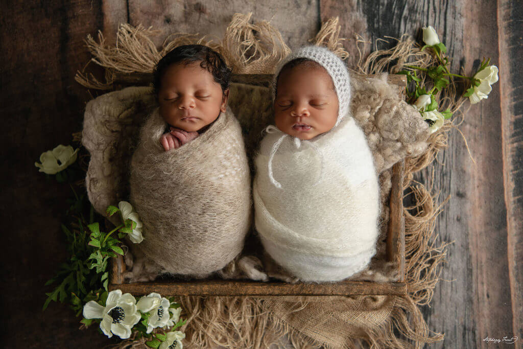 Newborn photographer Dallas twin newborn photos