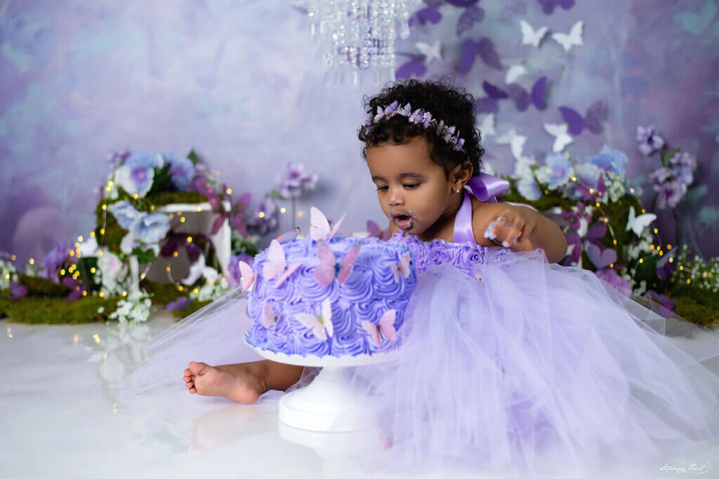 butterfly purple smash cake Dallas