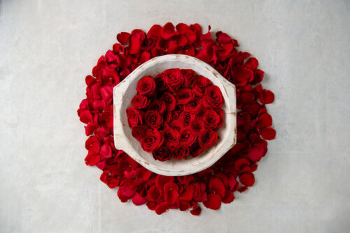 Eden romantic rose petal digital backdrop for baby photography