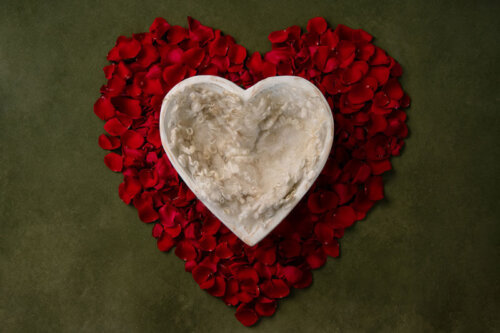Heart Kissed newborn digital backdrop image