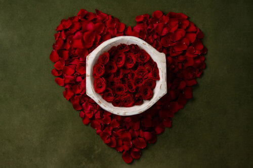 Heart petals Valentine’s digital backdrop