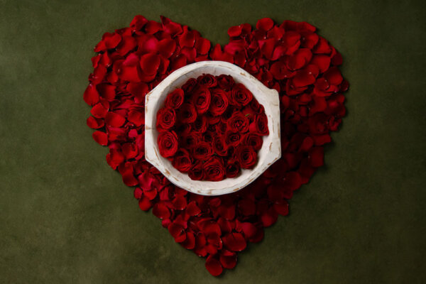 Heart petals Valentine’s digital backdrop