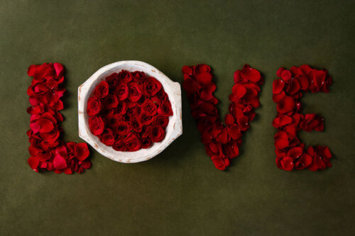 Love Roses valentine's day digital photography backdrops