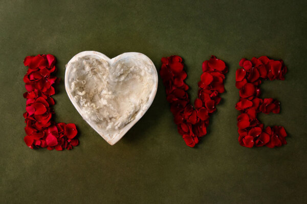 Love heart digital backdrop for valentines newborn photography
