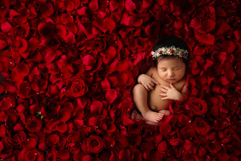Wall of petals with baby newborn digital backdrop