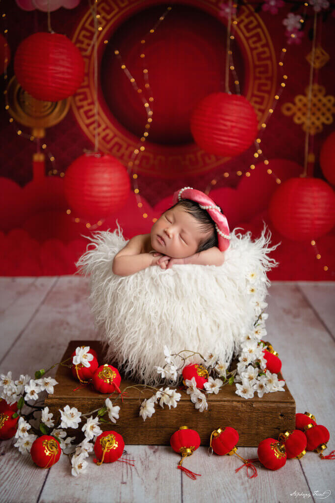 Chinese new year newborn photo session