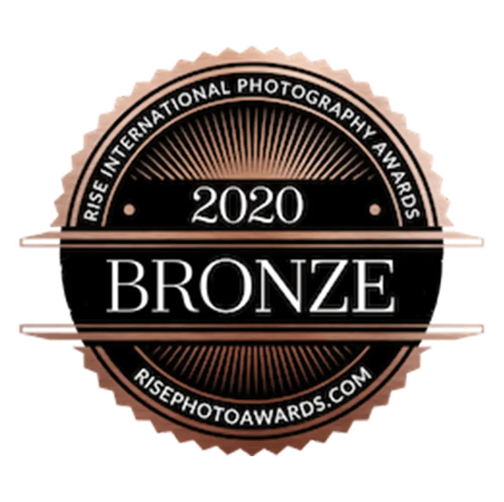 5-bronze-award-professional-photographers-in-DFW-Stephany-Ficut