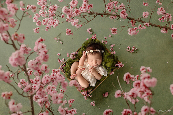Cherry blossom themed newborn photo session