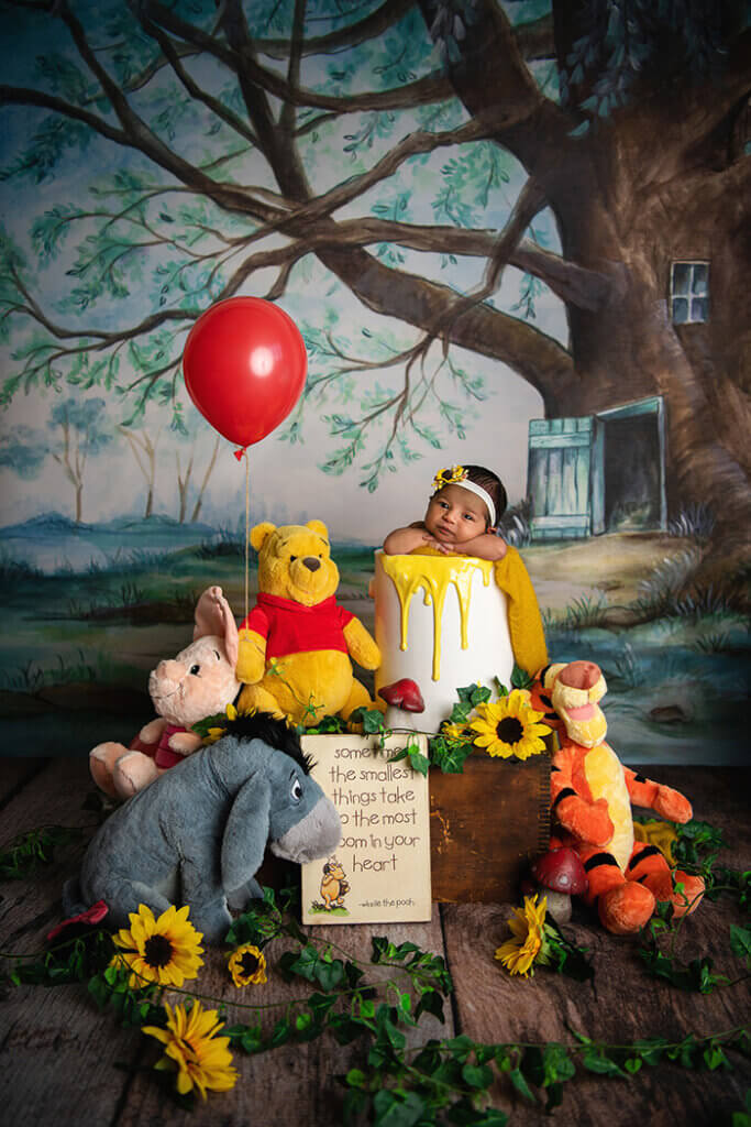 Winnie the pooh newborn photo session in Dallas Texas