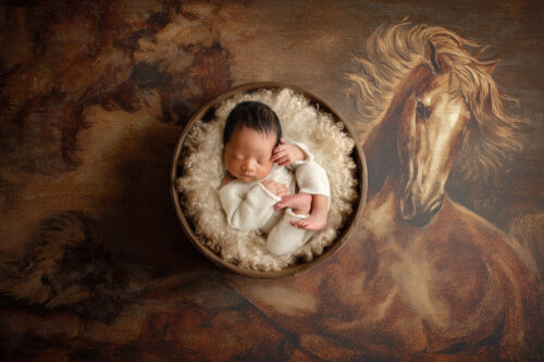 Newborn Digital Baby 35 - Year of the horse